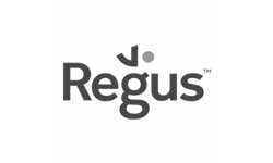 web logo